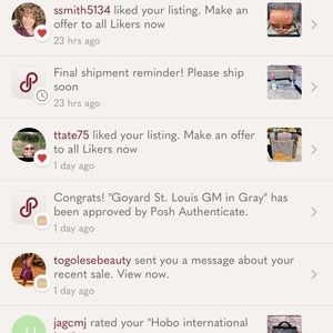 Regarding goyard bag